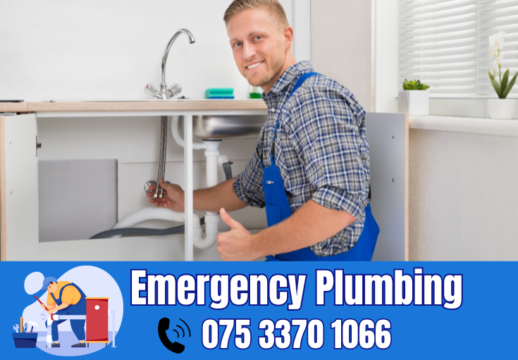  plumber Luddesdown